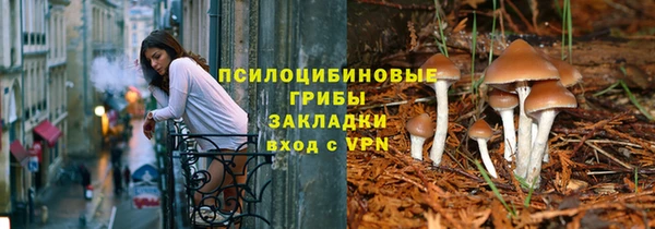 apvp Абинск