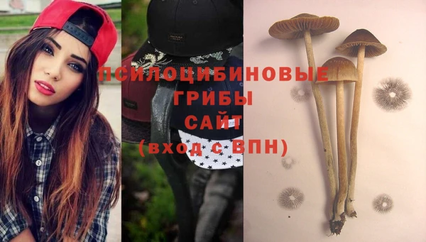 apvp Абинск